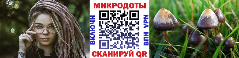 Псилоцибиновые грибы ЛСД  Нелидово 